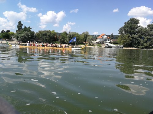 img_20230626_152459.jpg