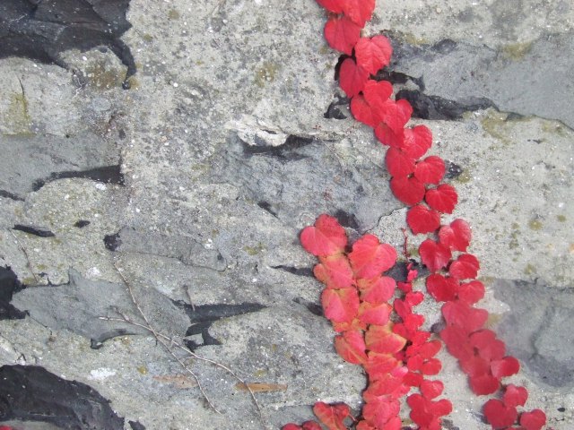 img_0579.jpg