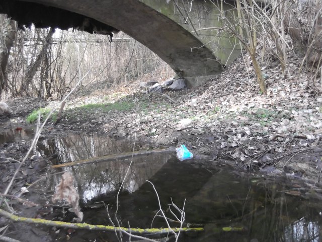 dscf3254.jpg