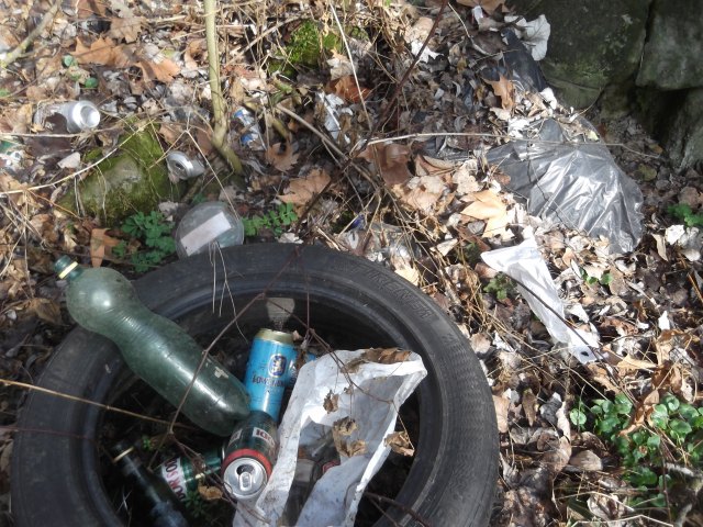 dscf3257.jpg