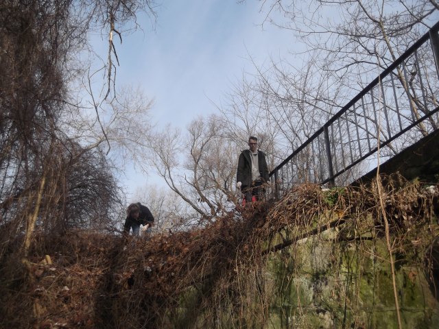 dscf3260.jpg