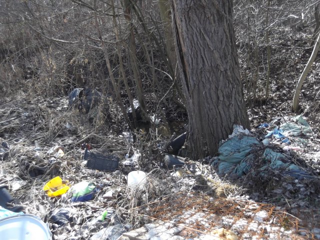 dscf3267.jpg