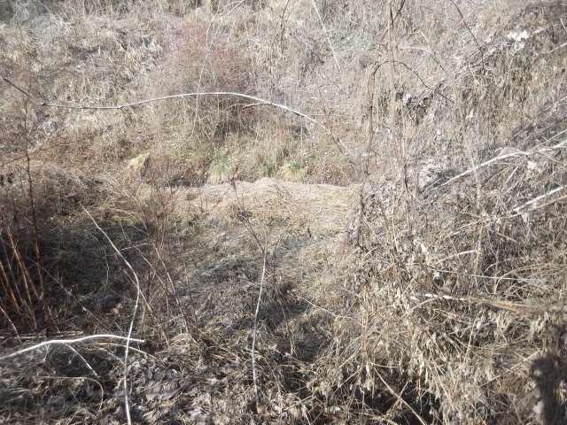 dscf3270.jpg