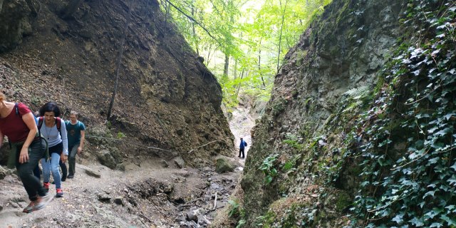 img_20190928_101812.jpg