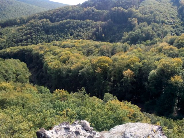 img_20190928_111654.jpg